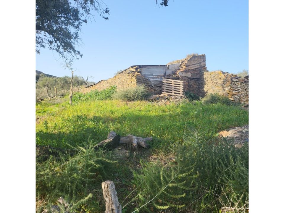 Farm i Evora, Evora - foto 2