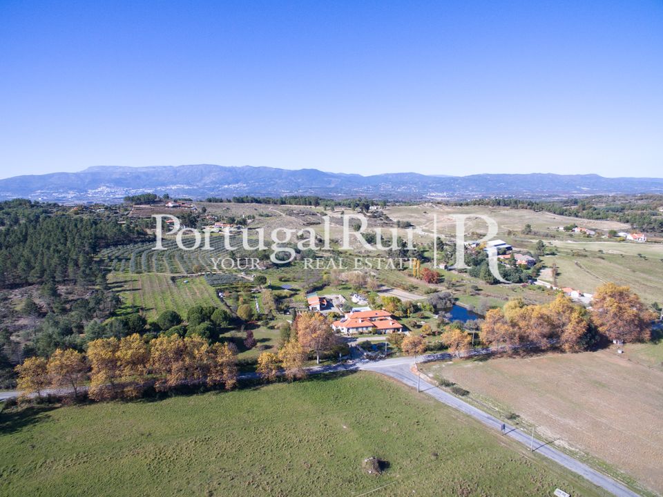 Farm i Belmonte, Castelo Branco - foto 3