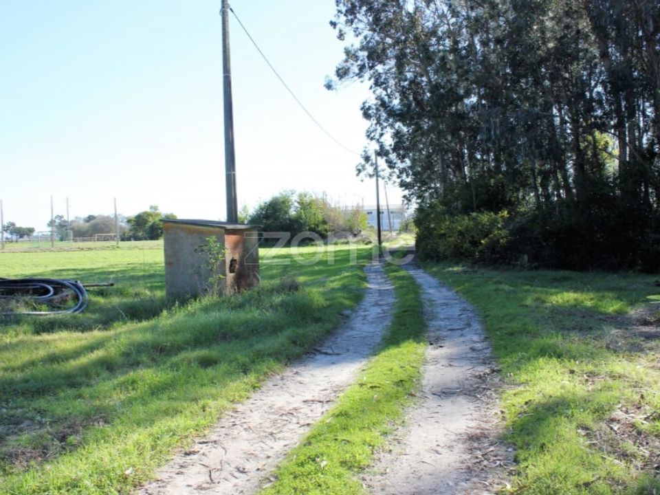 Helårsgrund i Torreira, Aveiro - foto 2