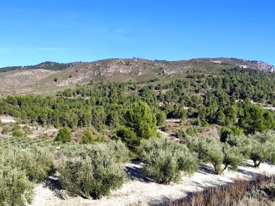 Tomt i Planes, Alicante - bilde 4