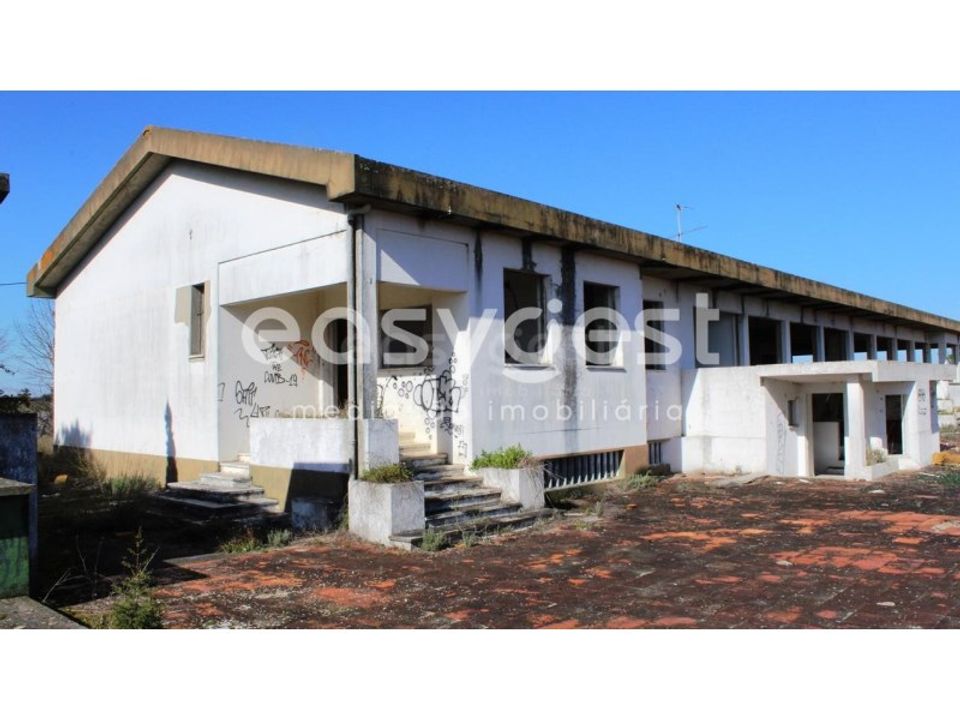Farm i Abrantes, Santarem - foto 1