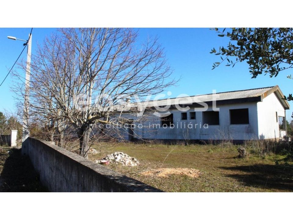 Farm i Abrantes, Santarem - foto 3