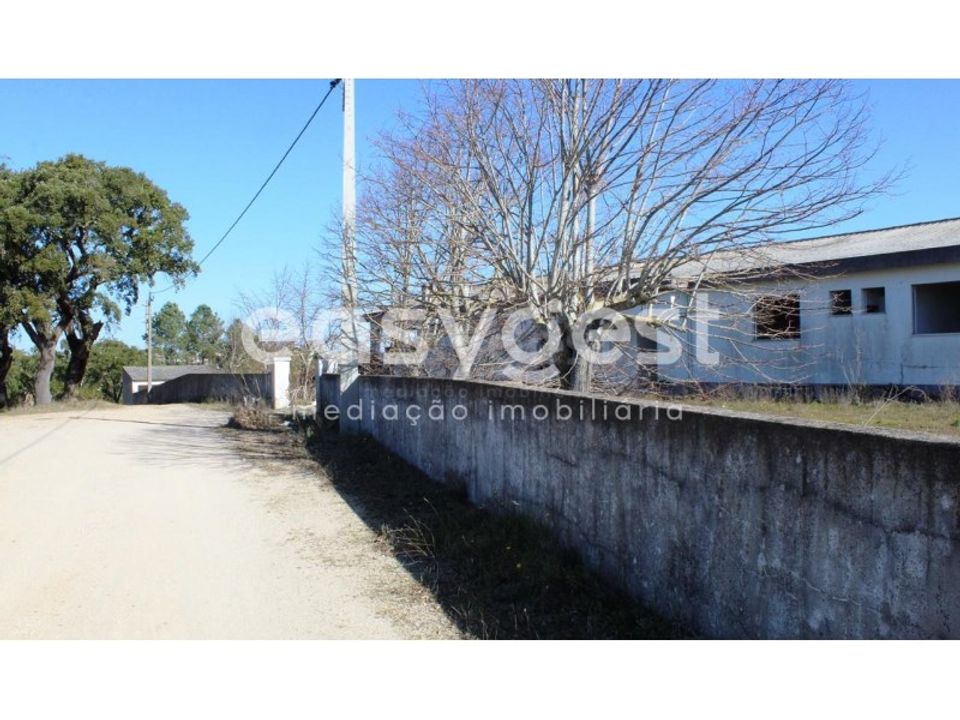 Farm i Abrantes, Santarem - foto 4