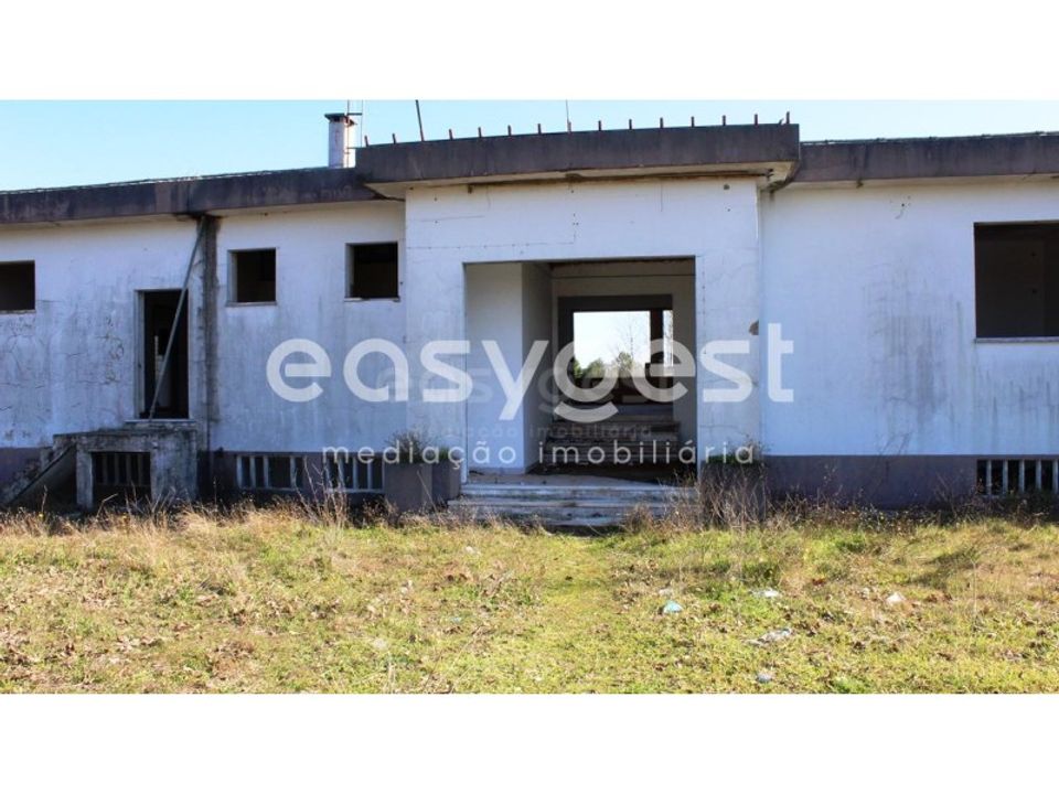 Farm i Abrantes, Santarem - foto 5
