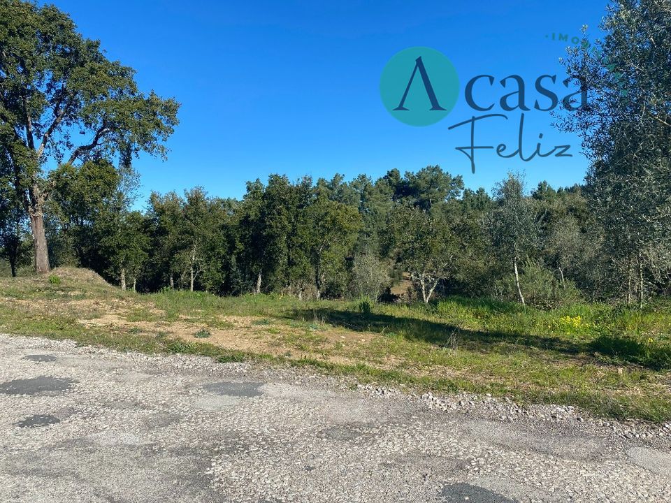 Helårsgrund i Tomar, Santarem - foto 3
