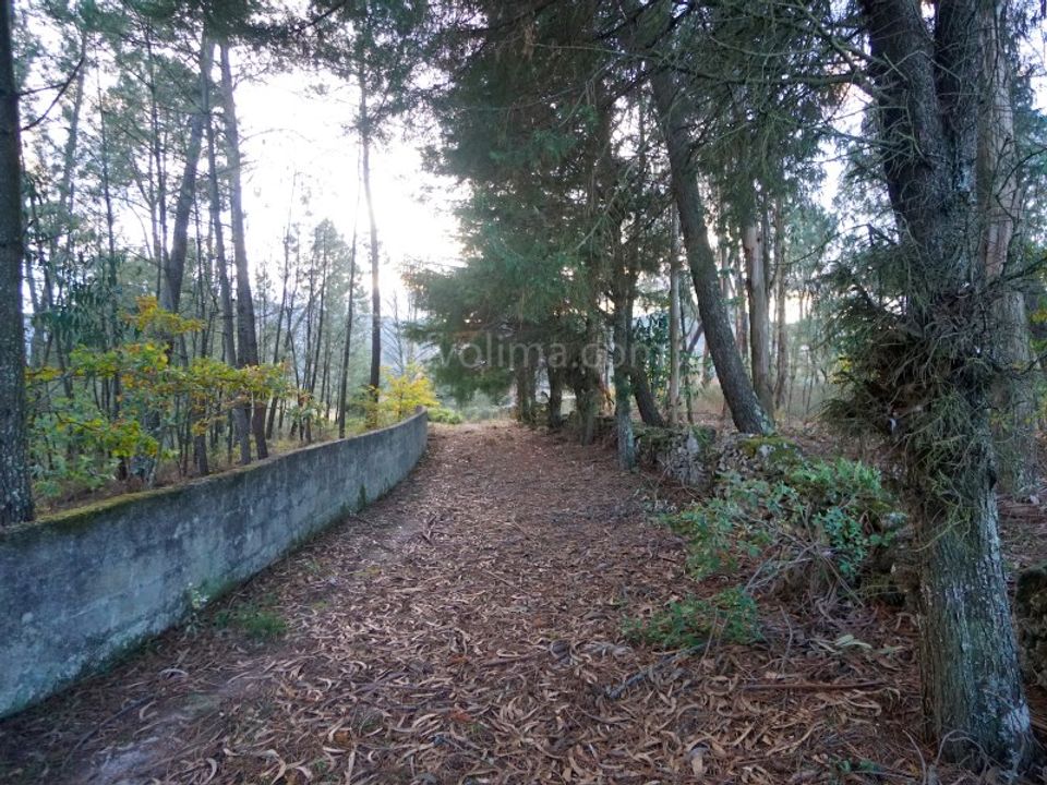 Helårsgrund i Ceivaes e Badim, Viana do Castelo - foto 1