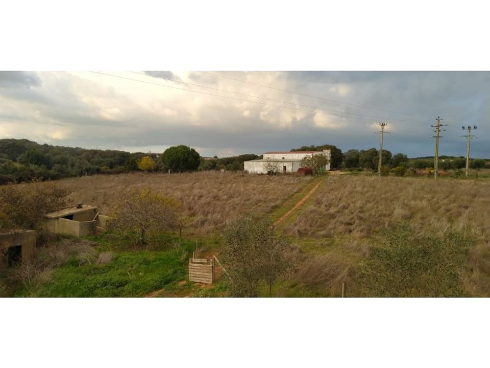 Farm i Estremoz, Evora - foto 1