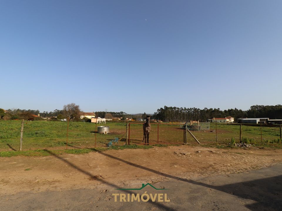 Helårsgrund i Oliveira de Azemeis, Aveiro - foto 1