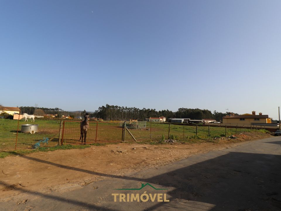 Helårsgrund i Oliveira de Azemeis, Aveiro - foto 2