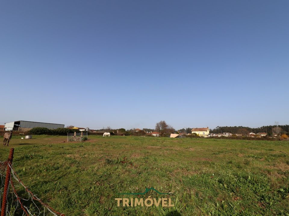 Helårsgrund i Oliveira de Azemeis, Aveiro - foto 5