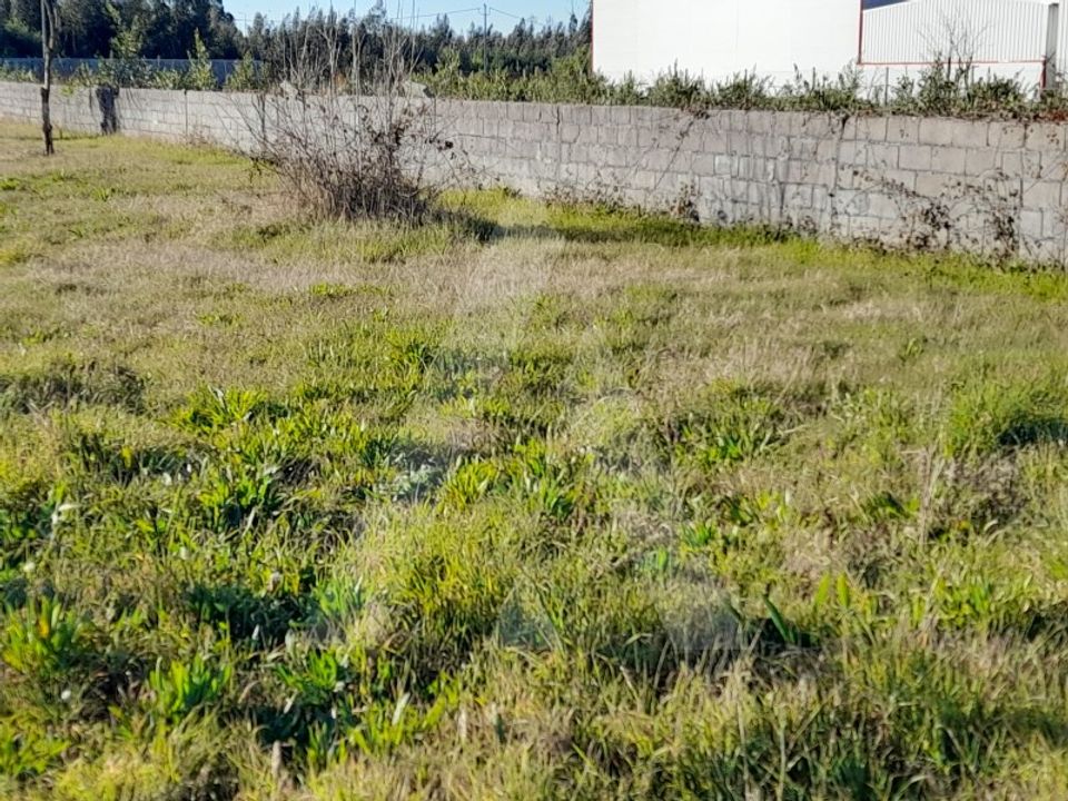 Helårsgrund i Chaves, Vila Real - foto 2