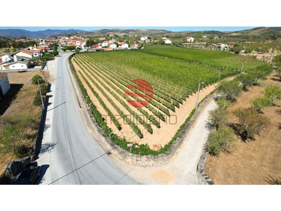 Farm i Vila Nova de Foz Coa, Guarda - foto 5
