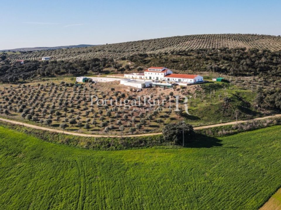 Farm i Campo Maior, Portalegre - foto 1