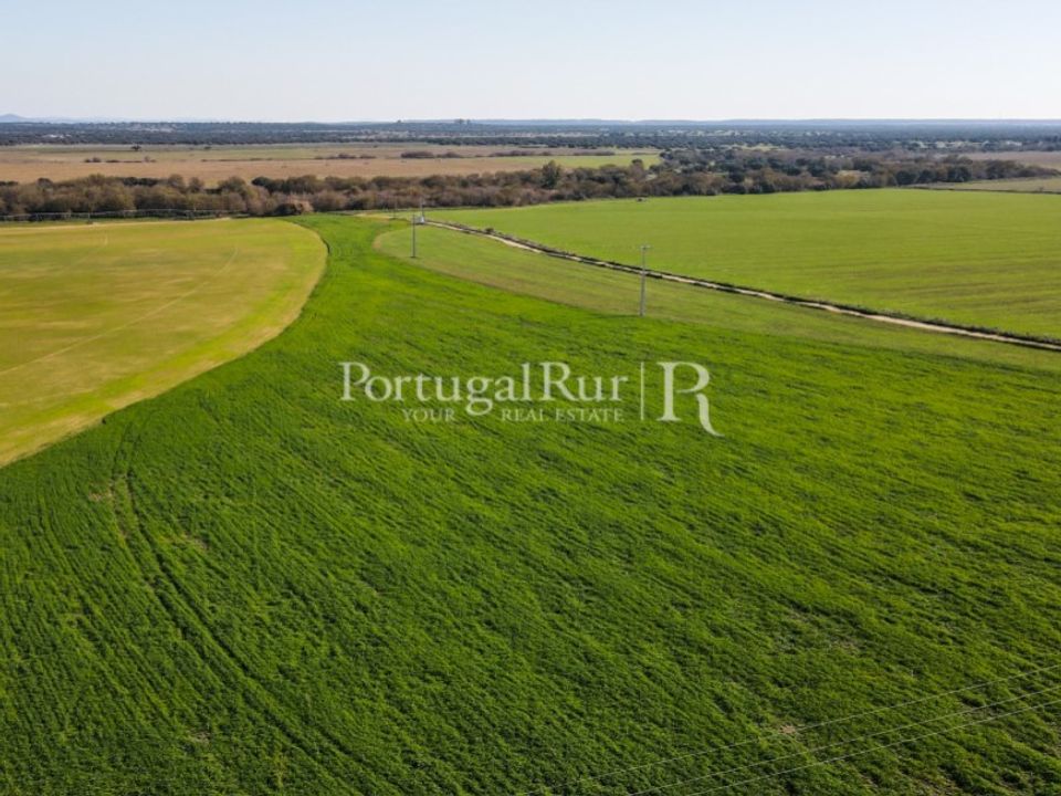 Farm i Campo Maior, Portalegre - foto 5