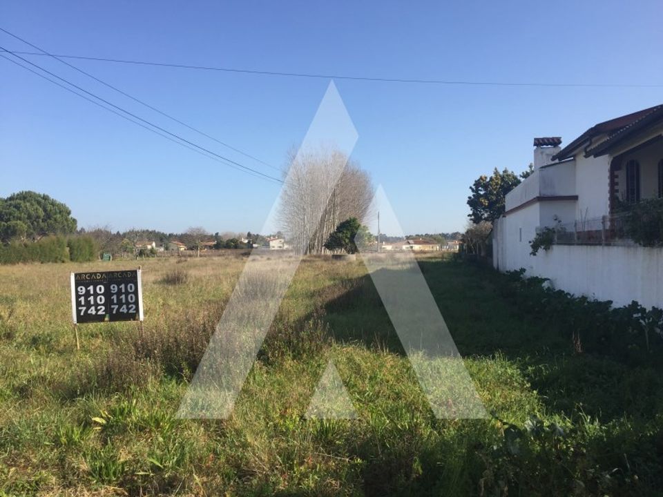 Helårsgrund i Oliveira do Bairro, Aveiro - foto 3