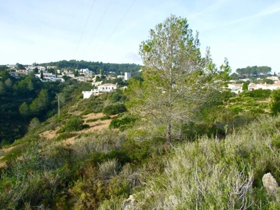 Helårsgrund i Benidoleig, Alicante - foto 4