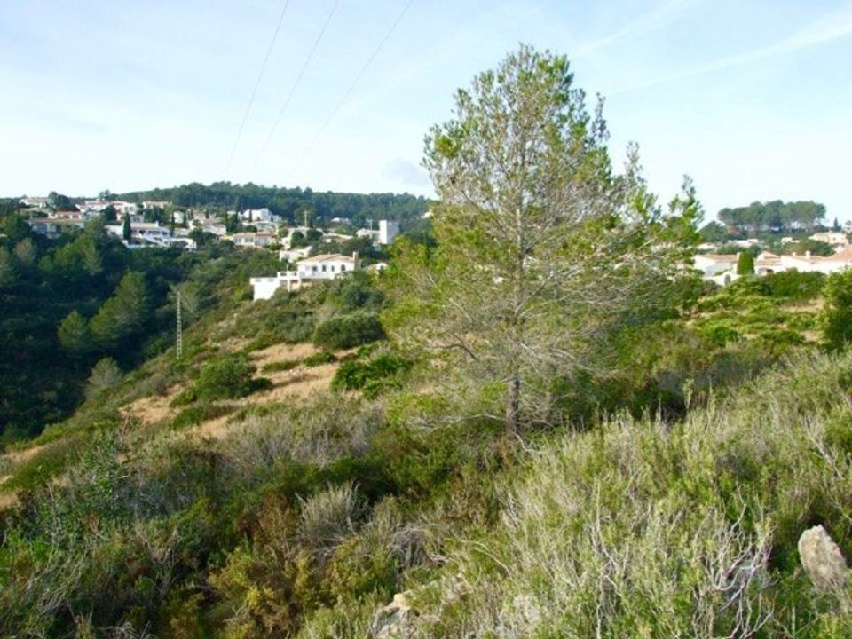 Helårsgrund i Benidoleig, Alicante - foto 5