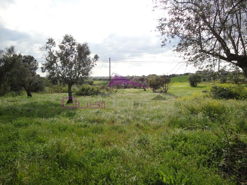 Helårsgrund i Torres Novas, Santarem - foto 1