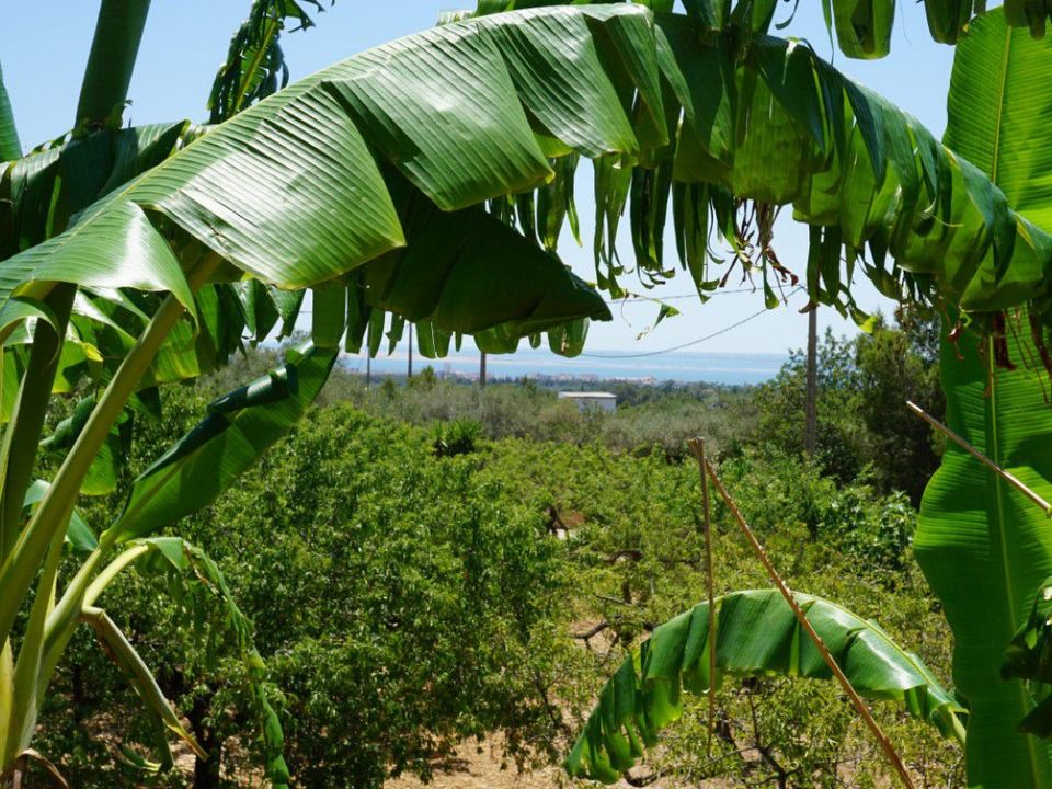 Villa i L'Ampolla, Tarragona - foto 3