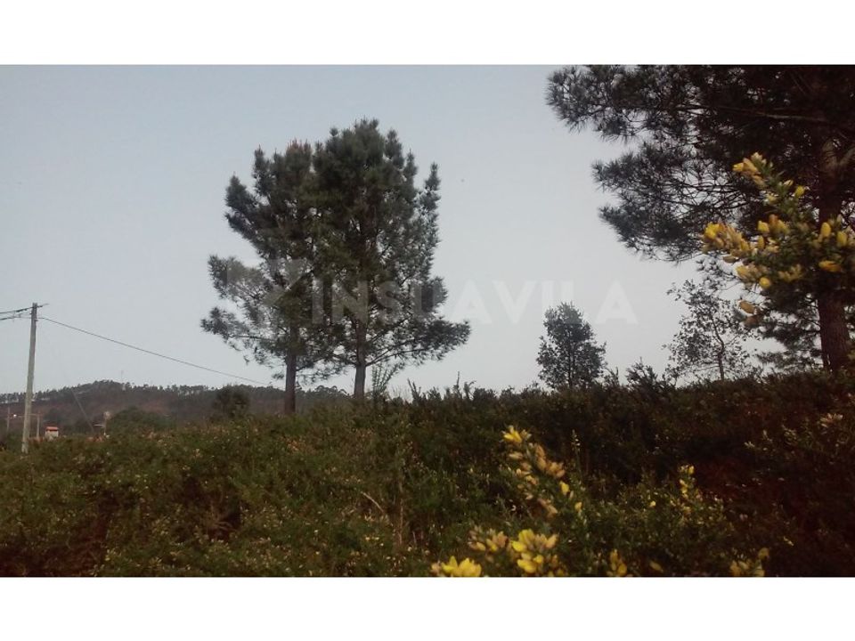 Helårsgrund i Caminha, Viana do Castelo - foto 2