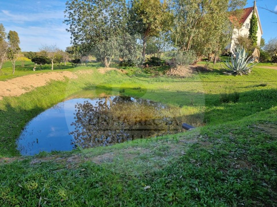 Gårdshus i Almodovar, Beja - bilde 2