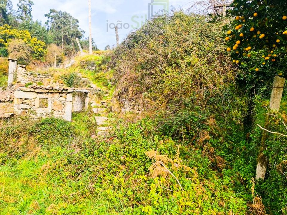 Træhytte i Ponte de Lima, Viana do Castelo - foto 4