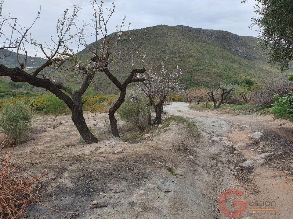 Finca i Molvizar, Granada - foto 4