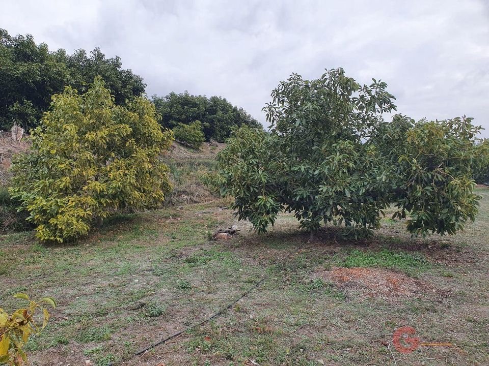 Finca i Guajar Alto, Granada - foto 4