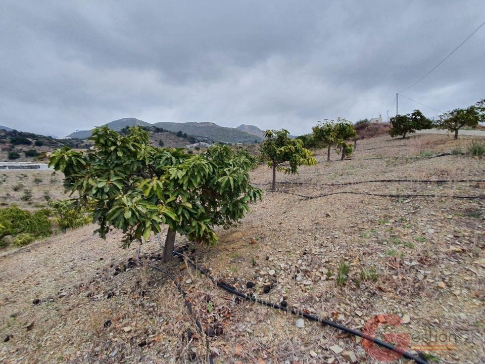 Finca i Itrabo, Granada - foto 1