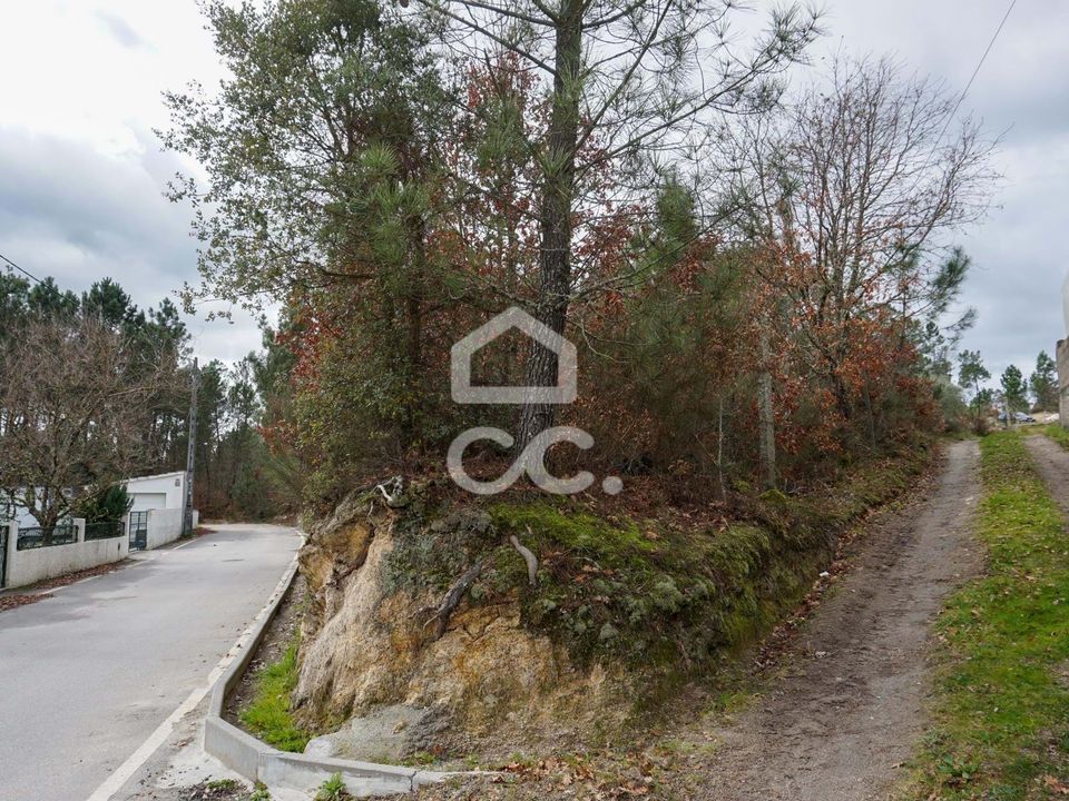 Helårsgrund i Viseu, Viseu - foto 2