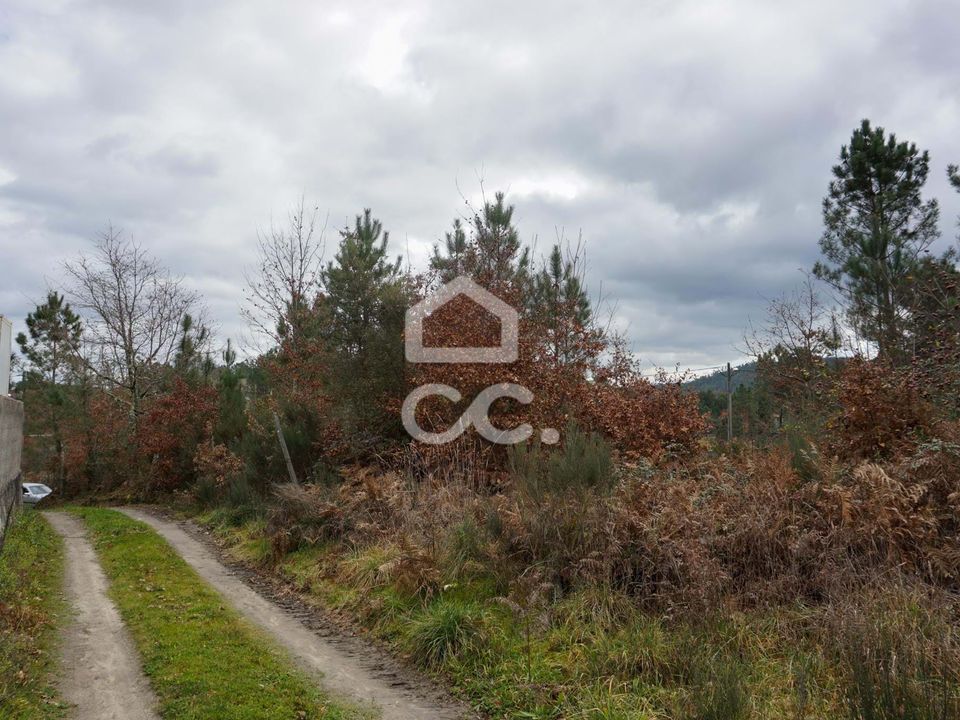 Helårsgrund i Viseu, Viseu - foto 3
