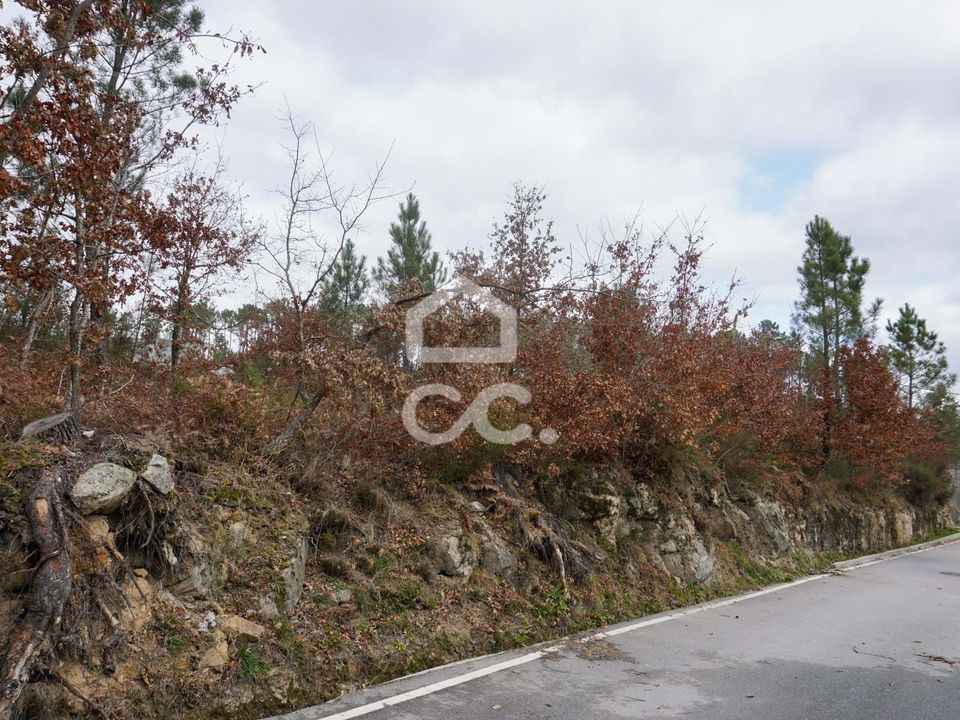 Helårsgrund i Viseu, Viseu - foto 5