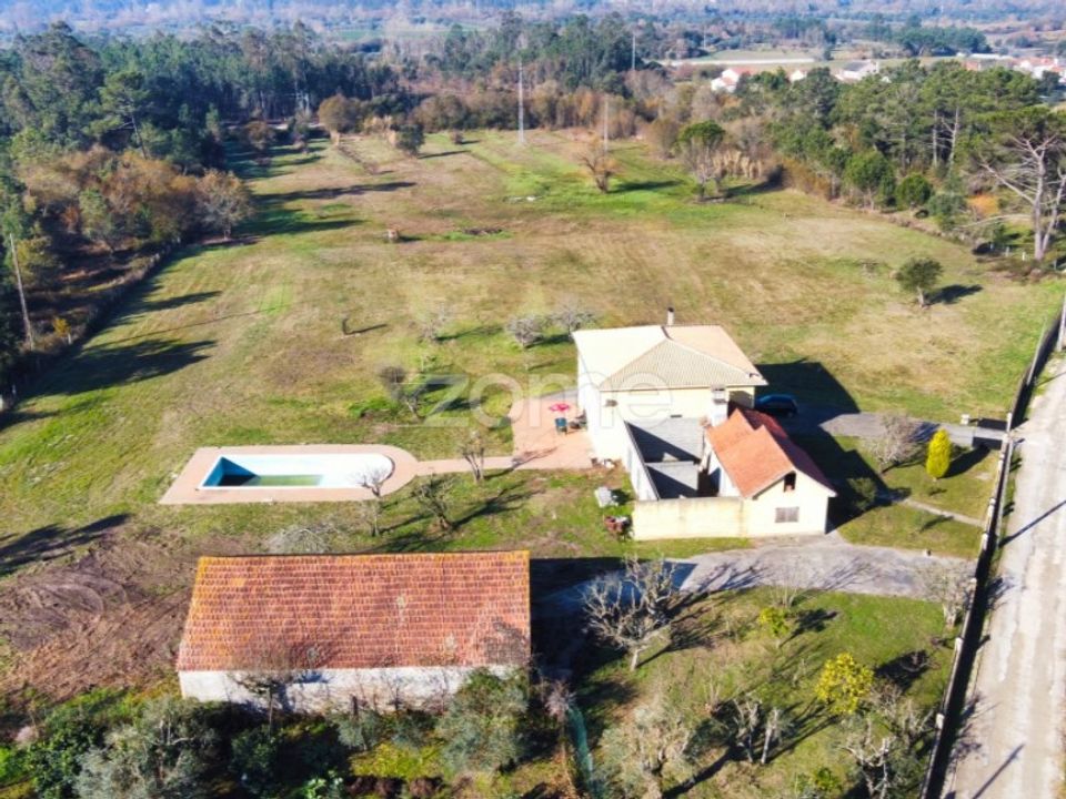 Farm i Soure, Coimbra - foto 5