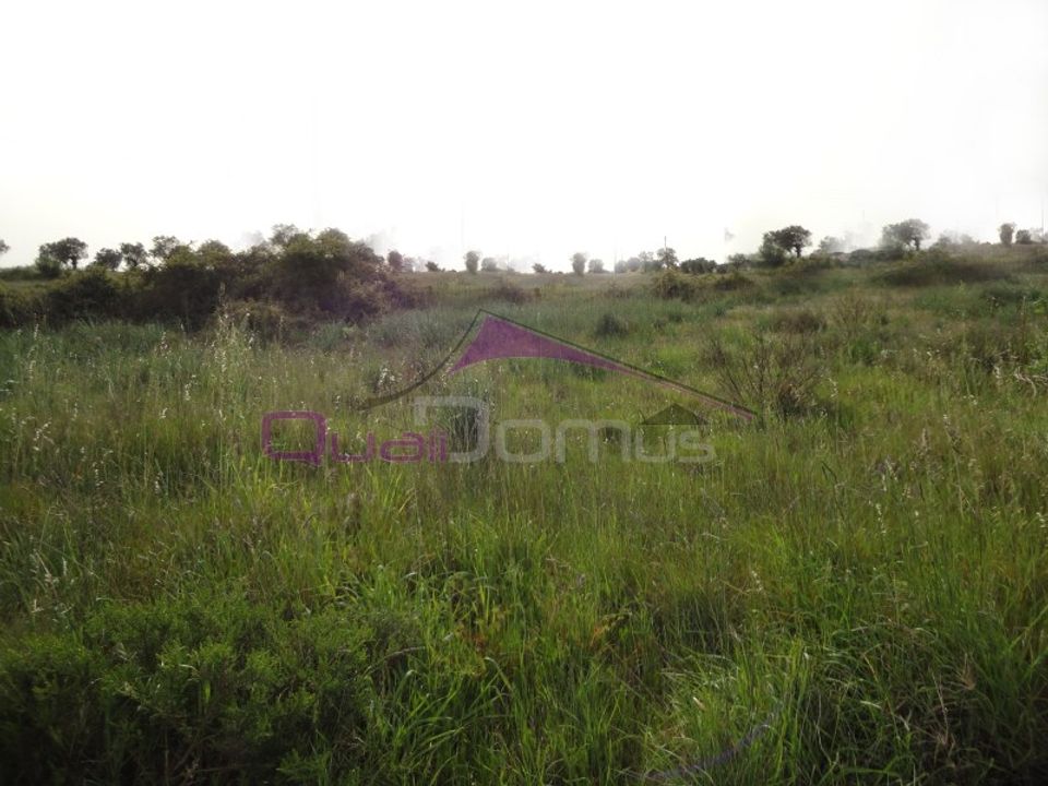 Helårsgrund i Montalvo, Santarem - foto 1