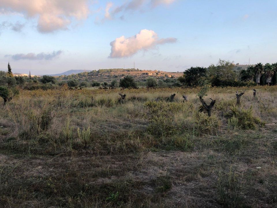 Helårsgrund i Benissa, Alicante - foto 1