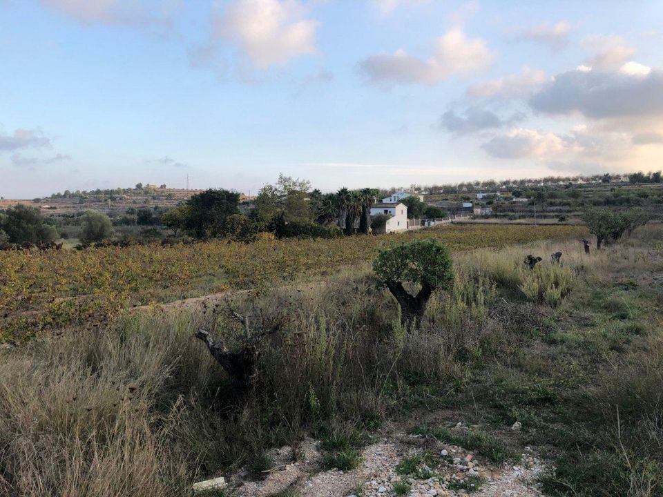 Helårsgrund i Benissa, Alicante - foto 3