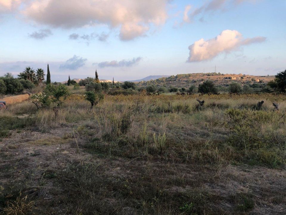 Helårsgrund i Benissa, Alicante - foto 4