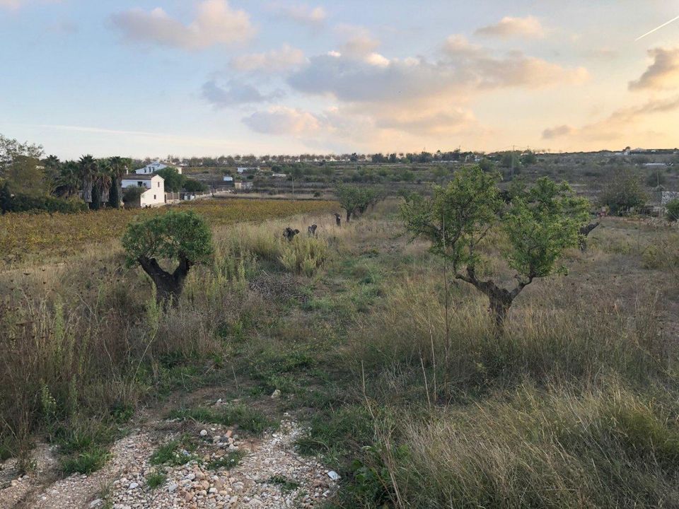 Helårsgrund i Benissa, Alicante - foto 5