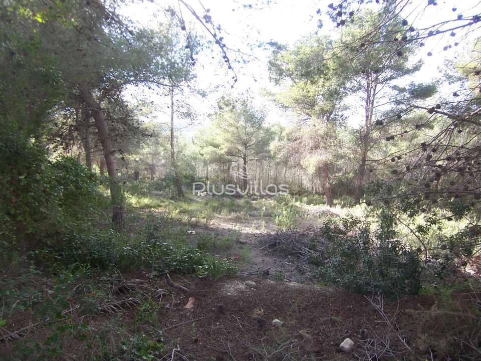 Helårsgrund i Moraira, Alicante - foto 3