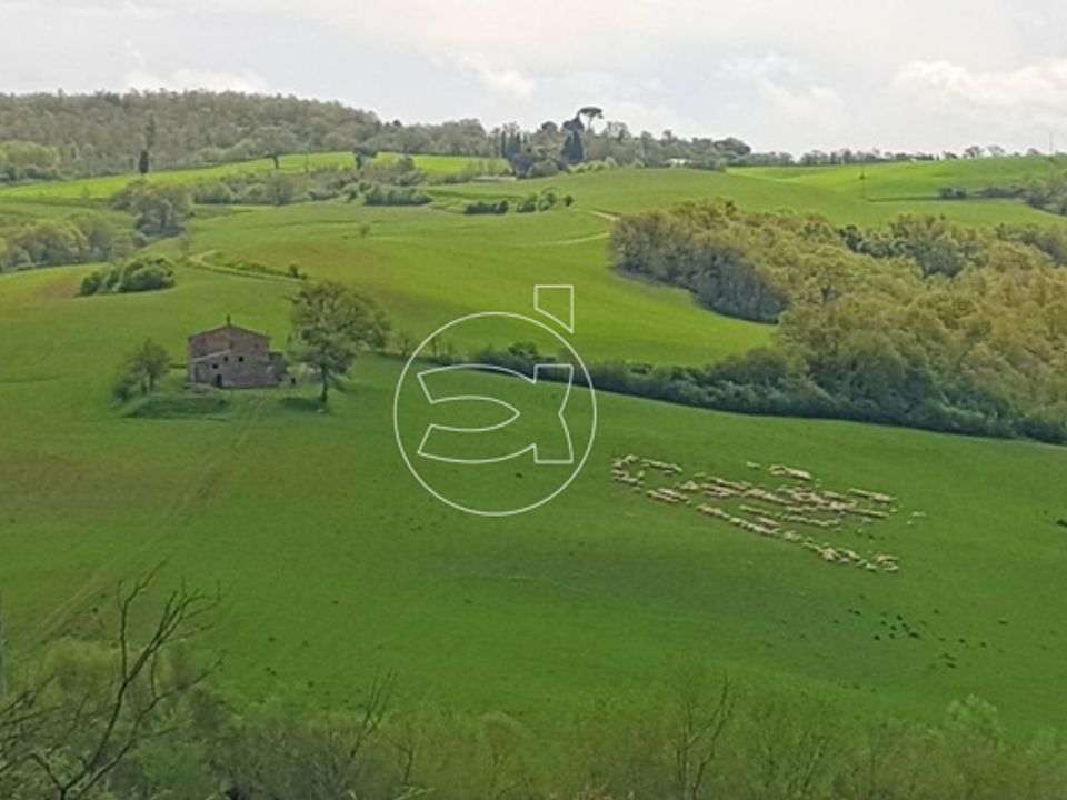 Landejendom i Montepulciano, Siena - foto 2