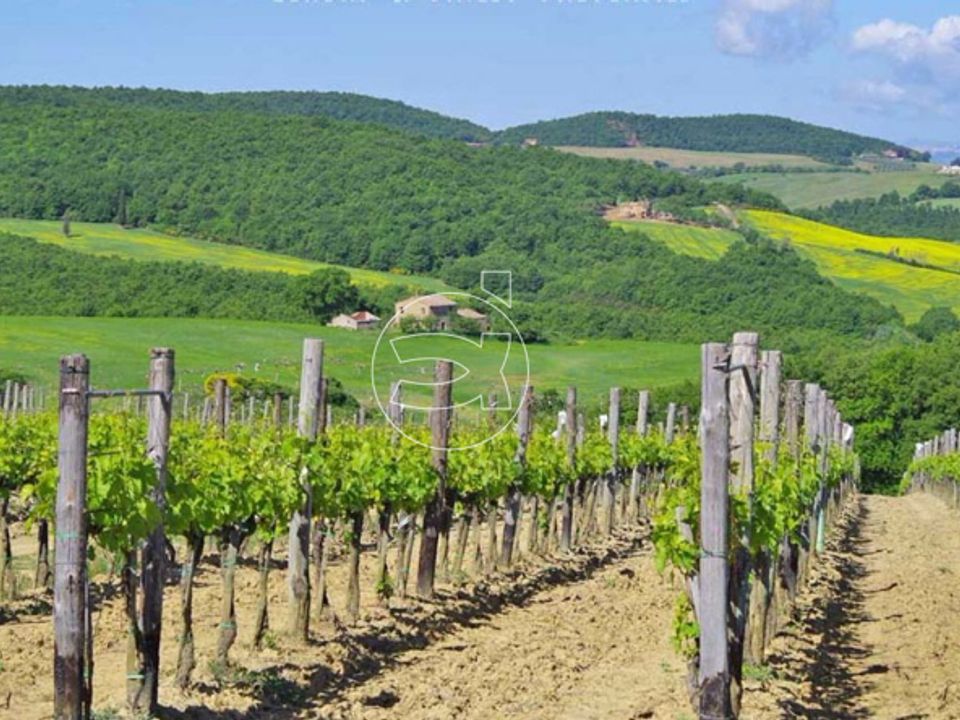 Landejendom i Montepulciano, Siena - foto 3
