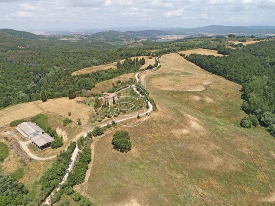 Herregård i Asciano, Siena - bilde 5