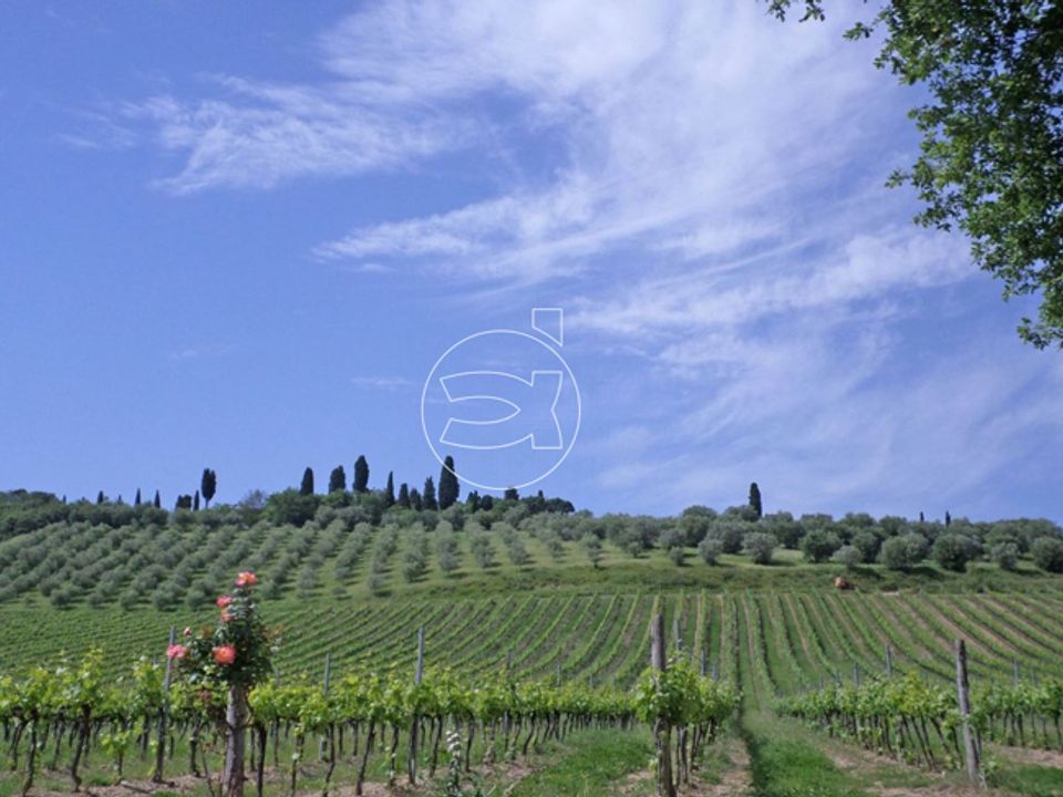 Landejendom i Torrita di Siena, Siena - foto 2