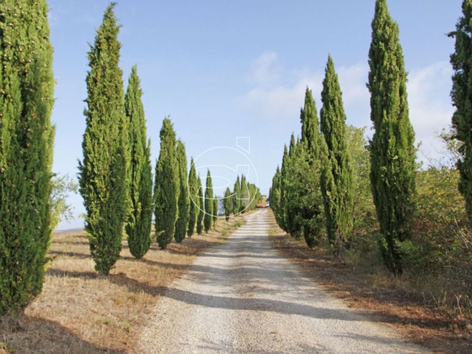Landejendom i Trequanda, Siena - foto 3