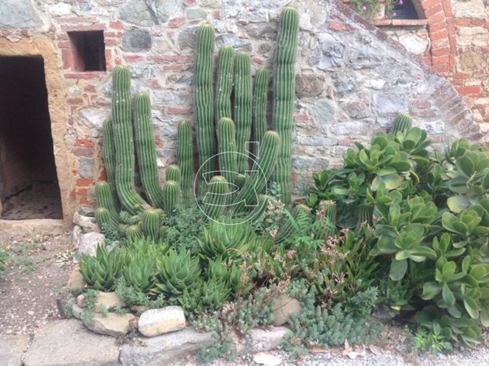 Villa i Sinalunga, Siena - foto 2