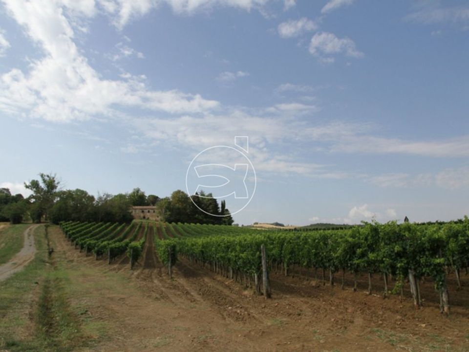 Landejendom i Montepulciano, Siena - foto 2