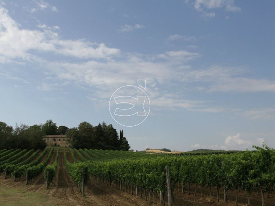 Landejendom i Montepulciano, Siena - foto 5