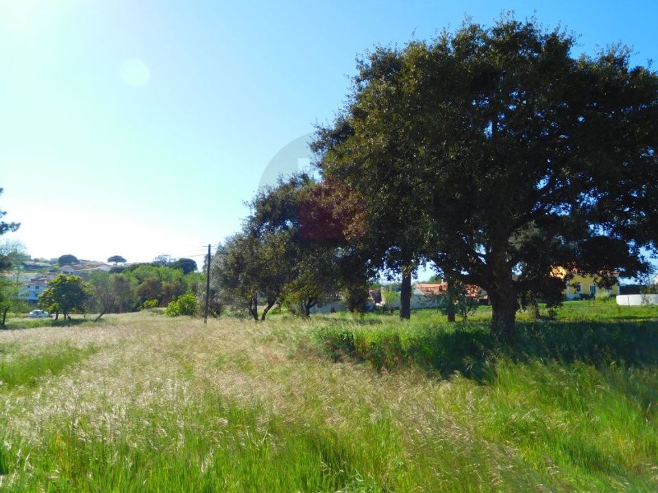 Helårsgrund i Caldas da Rainha, Leiria - foto 3