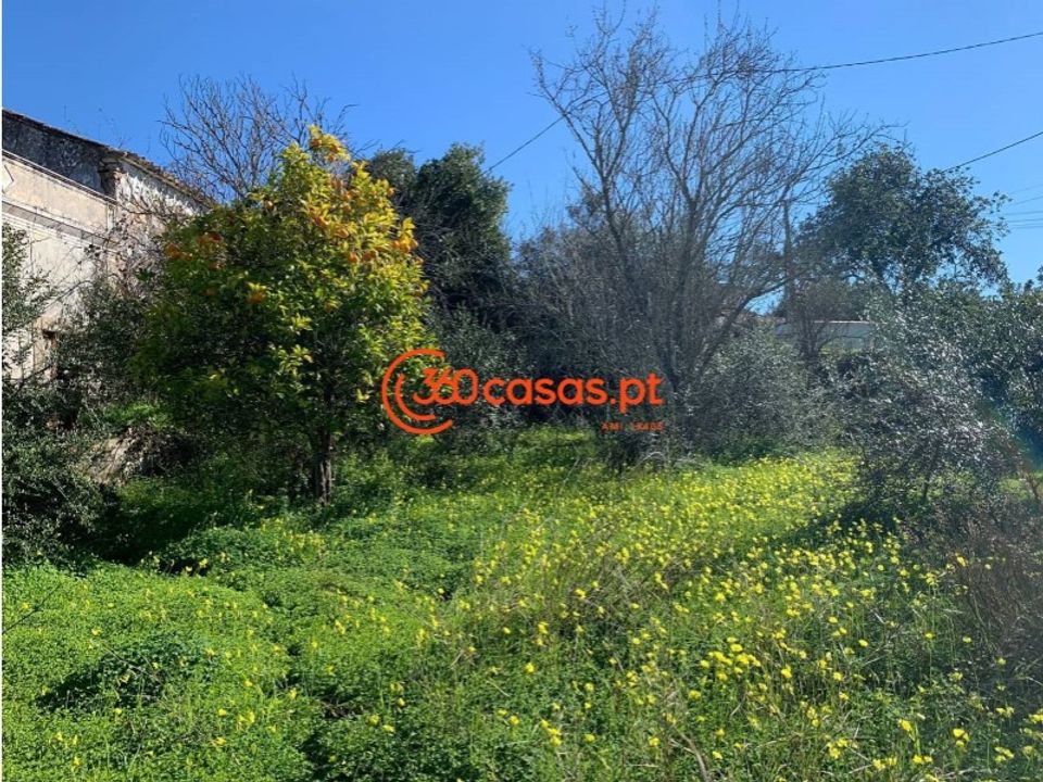 Ruinere i Sao Bras de Alportel, Faro - foto 3