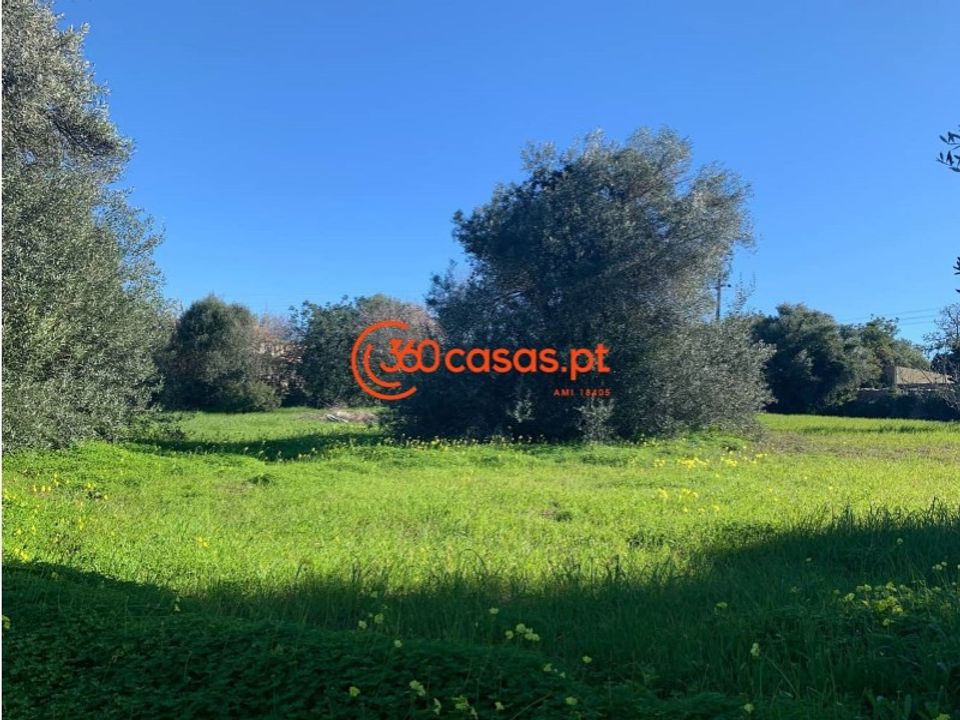 Ruinere i Sao Bras de Alportel, Faro - foto 5